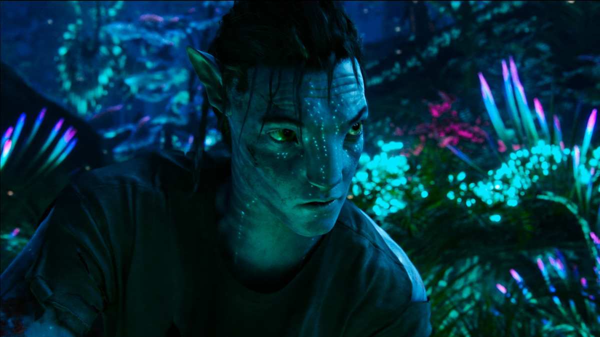7 Best Movies Similar to Avatar 2 You Can Watch  Movies Like Avatar 2