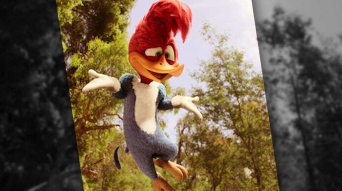 Woody Woodpecker Goes to Camp Summary And Ending Explained